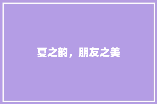 夏之韵，朋友之美 商务演讲