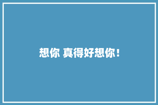 想你 真得好想你！ 工作报告