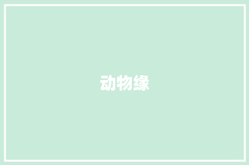 动物缘