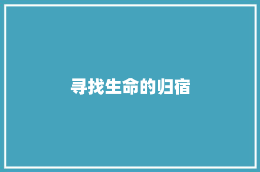 寻找生命的归宿 简历模板
