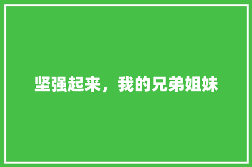 坚强起来，我的兄弟姐妹 工作报告