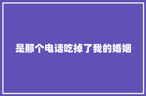 是那个电话吃掉了我的婚姻 职场范文