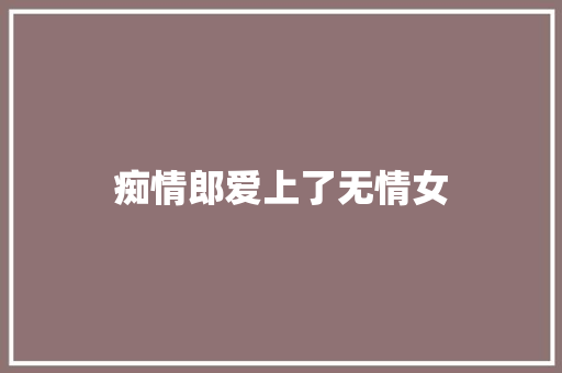 痴情郎爱上了无情女 工作总结
