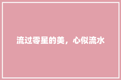 流过零星的美，心似流水 简历模板