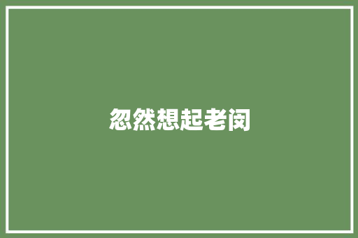 忽然想起老闵 商务演讲