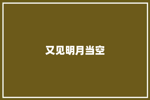 又见明月当空 商务演讲