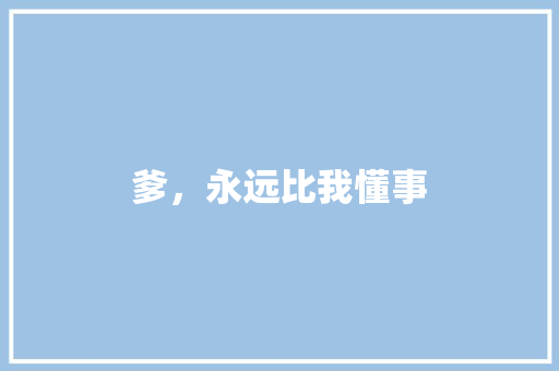 爹，永远比我懂事 简历模板