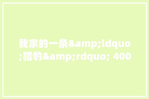 我家的一条&ldquo;猎豹&rdquo; 400字作文 职场范文