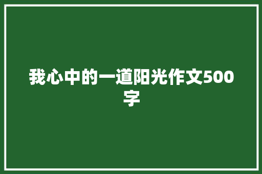 我心中的一道阳光作文500字 商务演讲