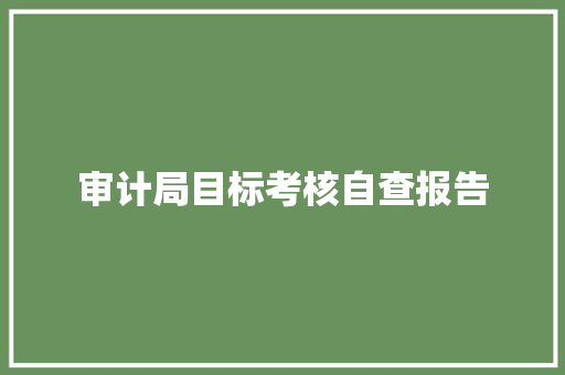 审计局目标考核自查报告 校园演讲