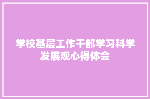 学校基层工作干部学习科学发展观心得体会 简历模板