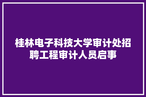 桂林电子科技大学审计处招聘工程审计人员启事 简历模板