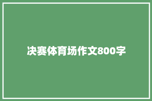 决赛体育场作文800字 工作总结