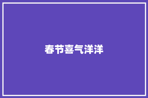 春节喜气洋洋 工作总结