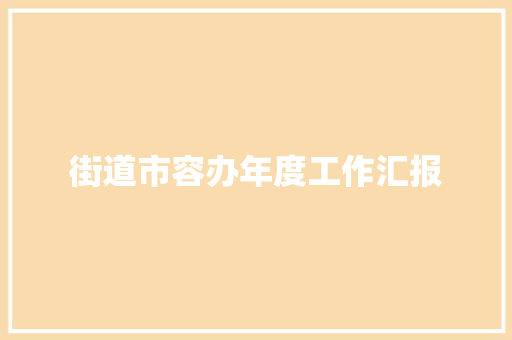 街道市容办年度工作汇报