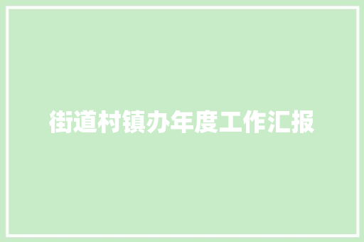 街道村镇办年度工作汇报 工作报告