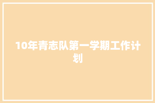 10年青志队第一学期工作计划 工作总结