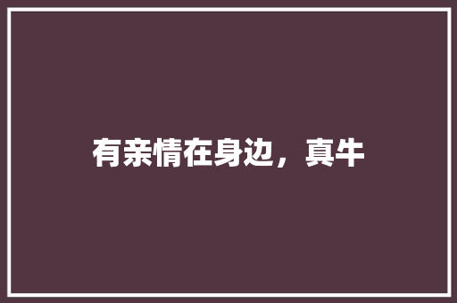 有亲情在身边，真牛 简历模板