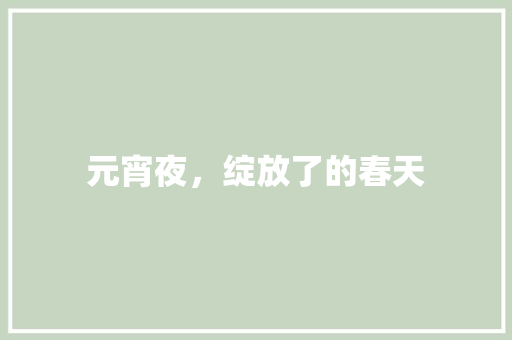 元宵夜，绽放了的春天