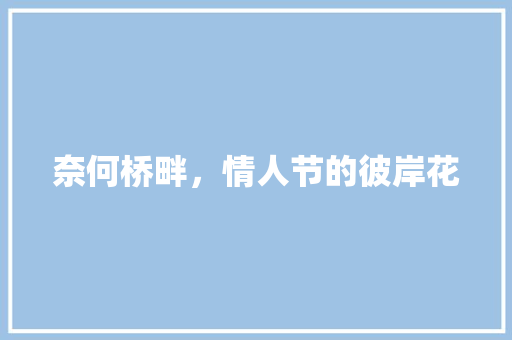 奈何桥畔，情人节的彼岸花