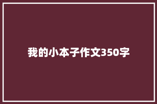 我的小本子作文350字