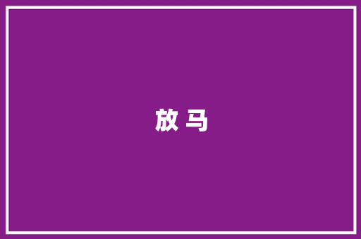 放 马 求职信