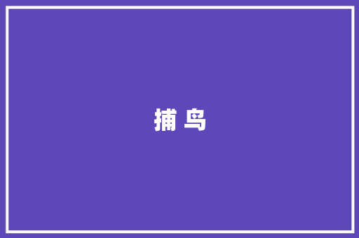 捕 鸟