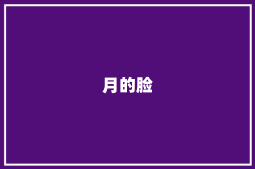 月的脸 求职信