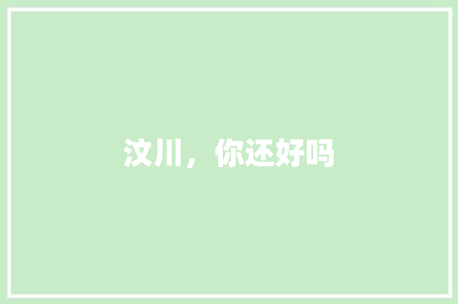 汶川，你还好吗