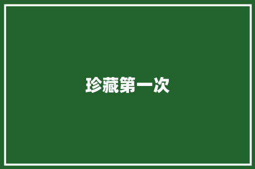 珍藏第一次 职场范文