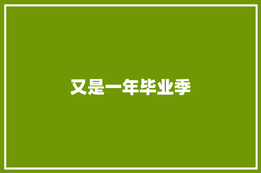 又是一年毕业季 工作总结