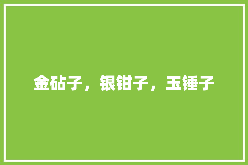 金砧子，银钳子，玉锤子 励志演讲