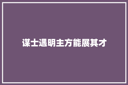 谋士遇明主方能展其才