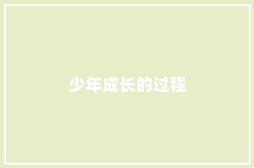少年成长的过程 演讲稿