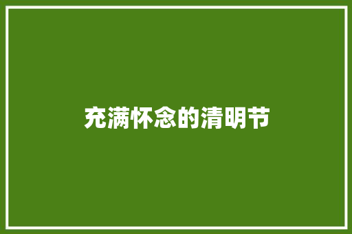 充满怀念的清明节 简历模板