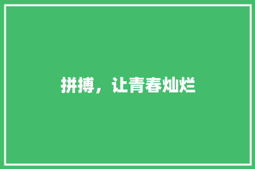 拼搏，让青春灿烂