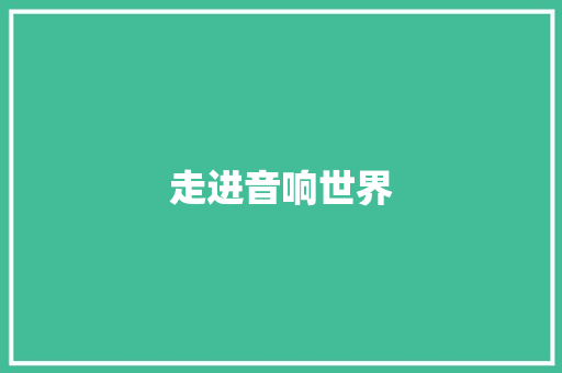 走进音响世界 工作报告