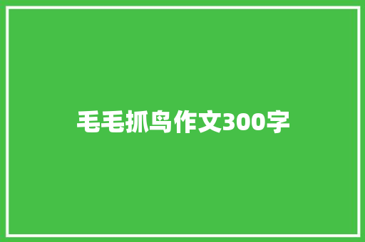 毛毛抓鸟作文300字
