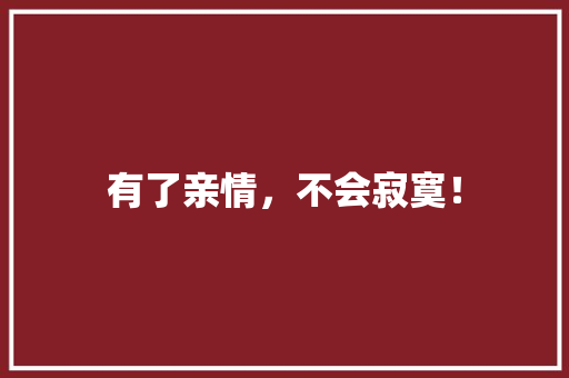 有了亲情，不会寂寞！