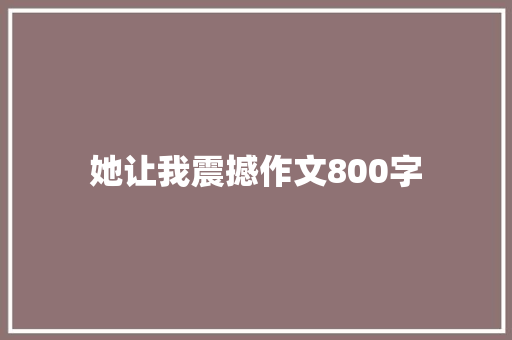 她让我震撼作文800字 工作报告