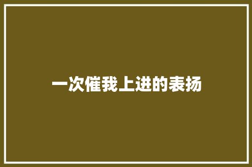 一次催我上进的表扬