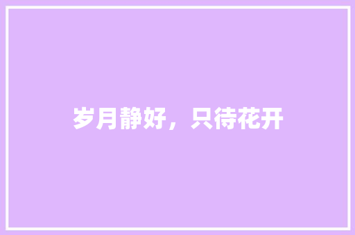 岁月静好，只待花开