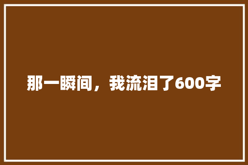 那一瞬间，我流泪了600字 工作报告