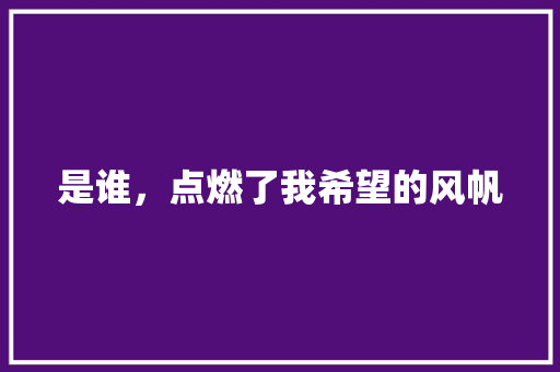 是谁，点燃了我希望的风帆