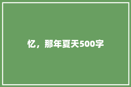 忆，那年夏天500字