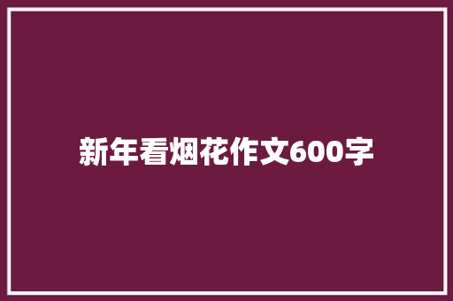 新年看烟花作文600字 工作总结