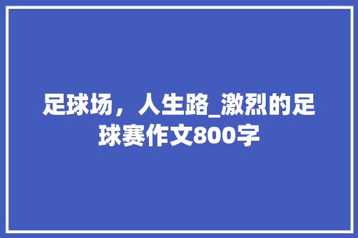 足球场，人生路_激烈的足球赛作文800字