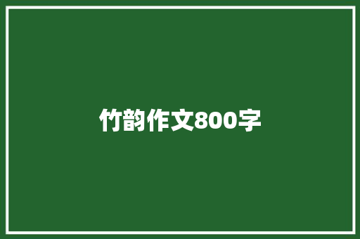 竹韵作文800字 商务演讲