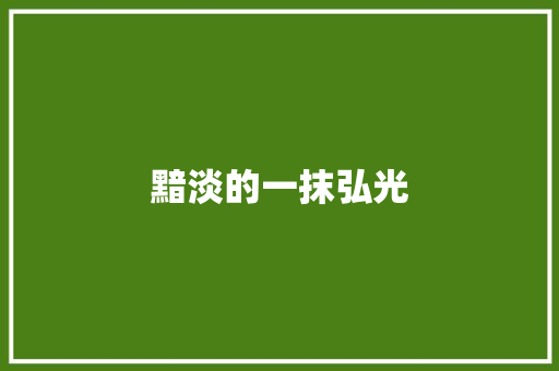 黯淡的一抹弘光 演讲稿