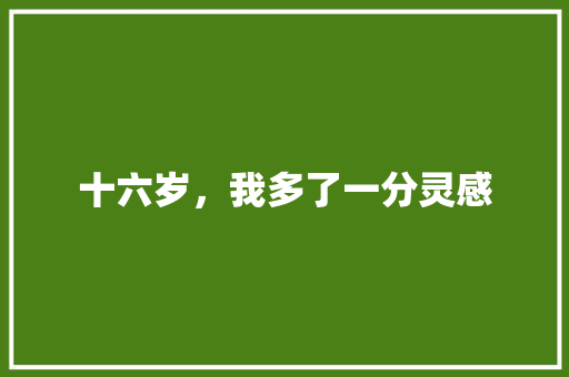 十六岁，我多了一分灵感